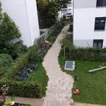 Miete 1 Schlafzimmer wohnung von 48 m² in Berlin