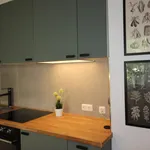 Rent 2 bedroom apartment of 35 m² in Leverkusen