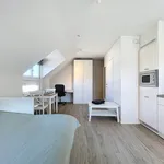 Rent 1 bedroom apartment in Gent