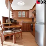 Rent 2 bedroom apartment of 45 m² in Brno