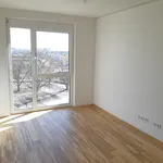 Miete 2 Schlafzimmer wohnung von 53 m² in Graz