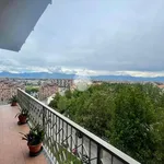 Rent 3 bedroom apartment of 80 m² in Turin