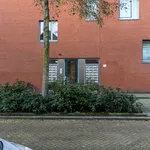 Rent 2 bedroom apartment of 73 m² in Rotterdam