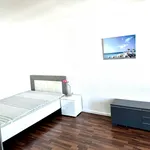 Rent 1 bedroom apartment of 42 m² in Cottbus