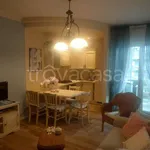 Rent 2 bedroom apartment of 50 m² in Silvi