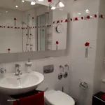 Rent 1 bedroom apartment of 62 m² in Nuremberg