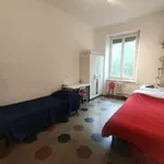 Rent 3 bedroom apartment of 65 m² in Turin