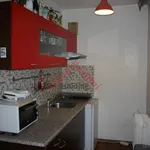 Rent 1 bedroom apartment in Pardubice