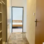 Rent 1 bedroom apartment in Suchdol nad Lužnicí