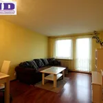 Rent 2 bedroom apartment of 49 m² in Gliwice