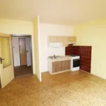 Rent 2 bedroom apartment of 40 m² in Děčín