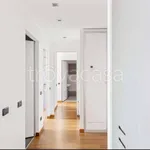 Rent 3 bedroom apartment of 80 m² in Milano