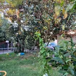 Rent 4 bedroom house of 95 m² in San Giuliano Terme