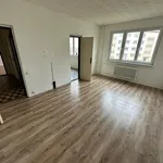 Pronájem bytu 2+1 53m²