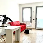 Rent 1 bedroom apartment of 40 m² in Bergamo