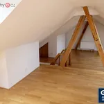 Rent 4 bedroom apartment of 155 m² in Praha