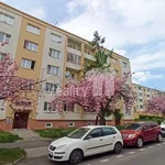 Rent 3 bedroom apartment in Most