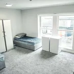 Rent 18 bedroom apartment in dublin