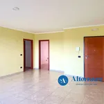 Rent 4 bedroom apartment of 130 m² in Bari