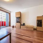 Rent 3 bedroom apartment of 95 m² in Capital City of Prague