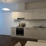 Rent 2 bedroom apartment of 50 m² in Trieste