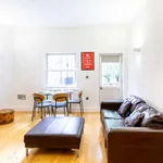 Rent 1 bedroom apartment in london