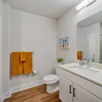 Rent 1 bedroom apartment in Austin