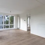 Huur 1 slaapkamer appartement van 42 m² in Delft