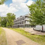 Huur 1 slaapkamer appartement in Boechout