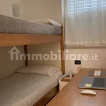 Rent 3 bedroom apartment of 70 m² in Trento