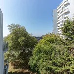 Rent 1 bedroom apartment in Porto