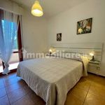 Rent 3 bedroom apartment of 65 m² in Pisa