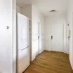 Rent 3 bedroom apartment of 71 m² in Velké Přílepy