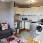 Rent 1 bedroom apartment of 40 m² in dublin