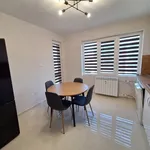 Rent 3 bedroom apartment of 65 m² in Каменица 1