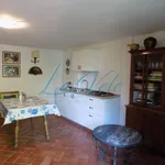 Rent 2 bedroom apartment of 55 m² in Massa