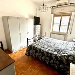 Rent 3 bedroom apartment of 80 m² in Roma