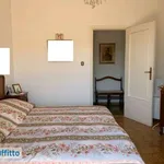 Rent 2 bedroom apartment of 65 m² in Genoa