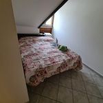 Rent 1 bedroom apartment in Turin