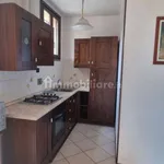 Rent 2 bedroom apartment of 54 m² in Reggio nell'Emilia