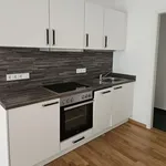 Rent 2 bedroom apartment of 76 m² in Dresden