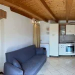 Rent 2 bedroom apartment of 49 m² in Biella