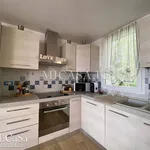 Rent 3 bedroom apartment of 80 m² in Pisa