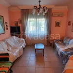 Rent 4 bedroom apartment of 100 m² in Caltanissetta