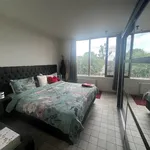 Rent 1 bedroom apartment in KALLO