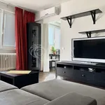 Rent 1 bedroom apartment in Brno