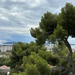 Rent 3 bedroom apartment of 64 m² in Toulon