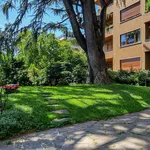 Rent 1 bedroom apartment in Monza