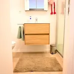 Rent 1 bedroom apartment in Leuven