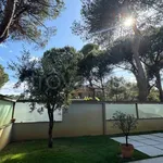 Rent 2 bedroom apartment of 65 m² in Pescara